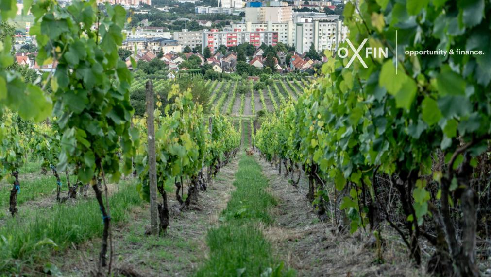 Investičný pozemok Rača